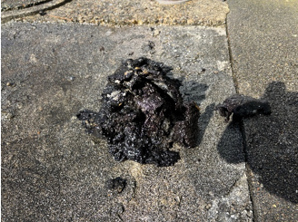 スクリーンショット 2026-01-19 151943.png