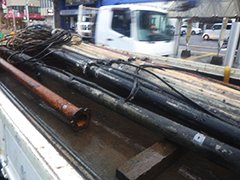 pho_20250319_003.jpg