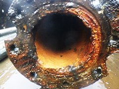 pho_20250319_004.jpg