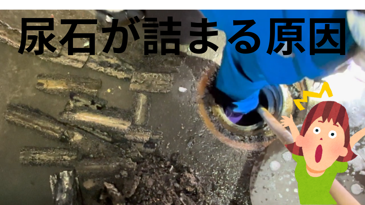 福井市の工場　トイレつまり～大量の尿石が‼‼～