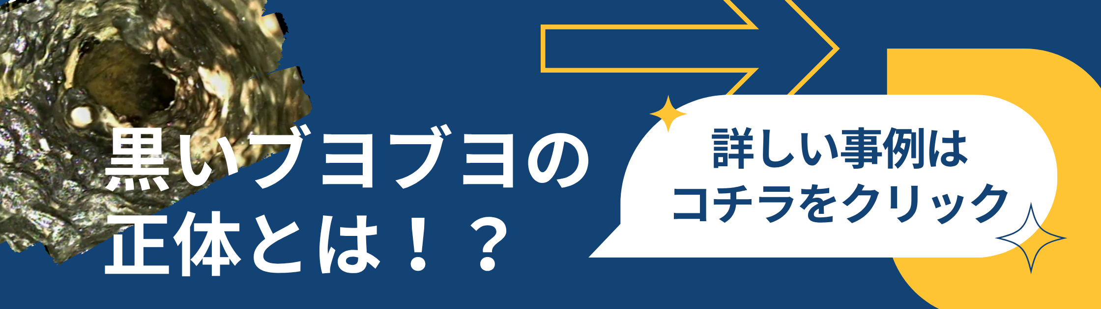 黒いブヨブヨの物体とは!? (1).png