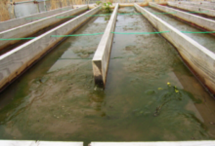 排水処理技術